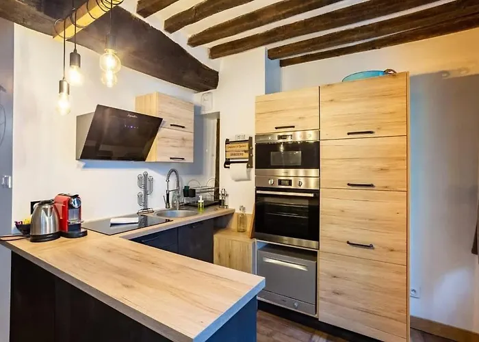 Le Jacobin, Appartement De Standing - Hyper Centre